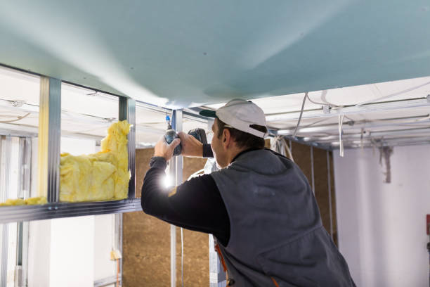 Garage Insulation Installation in Five Points, FL