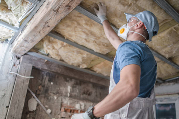 Best Garage Insulation Installation  in Five Points, FL