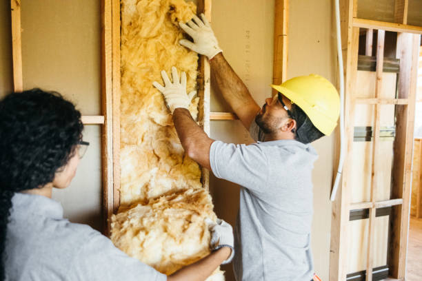 Best Blown-in Insulation  in Five Points, FL
