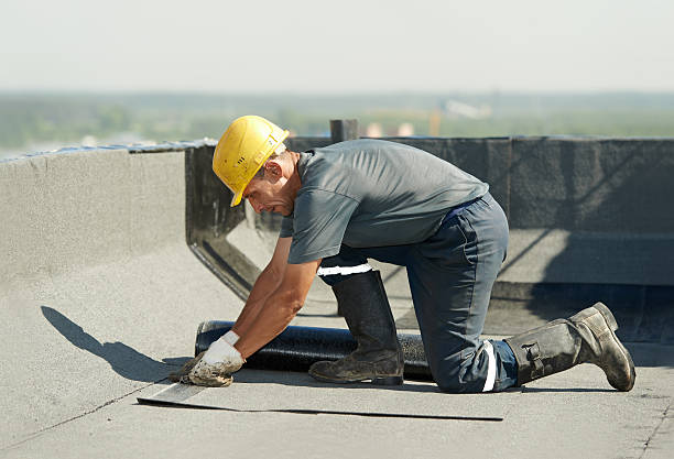 Best Insulation Installation Cost  in Five Points, FL