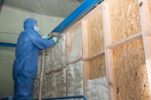 Insulation for Commercial Buildings in Five Points, FL