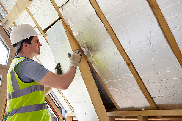 Best Insulation for New Construction  in Five Points, FL